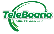 Teleboario