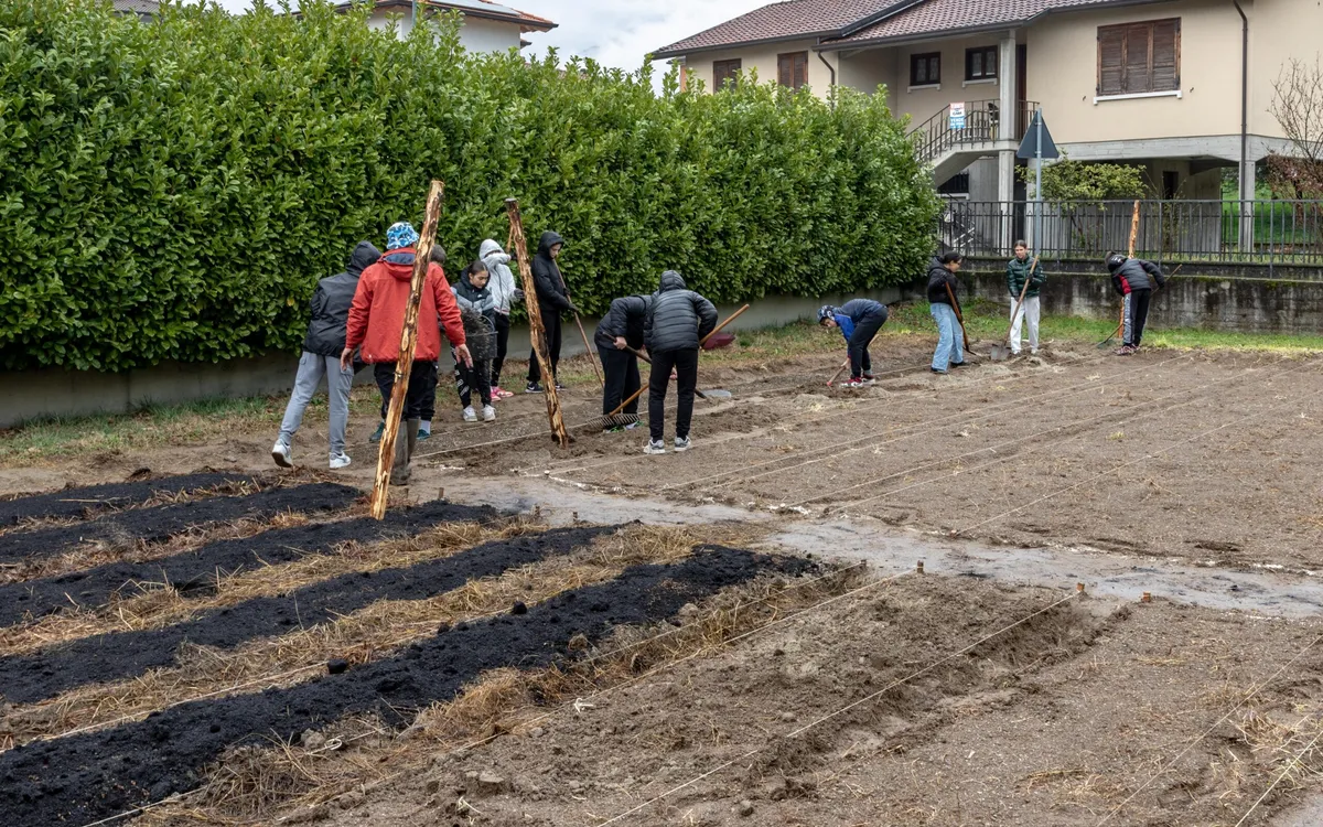 Studenti al lavoro in un campo per preparare il terreno di un orto, con pali di legno conficcati nel suolo e case sullo sfondo.