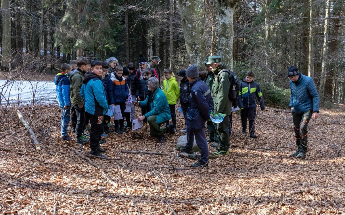 Studenti con zaini durante un'uscita didattica in un bosco invernale, mentre due tecnici forestali illustrano le attività in una radura coperta di foglie secche.